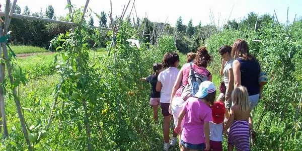 Visita guiada a la desembocadura del Gaià i a l’Hort de la Sínia, aquest diumenge