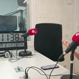 #1372 - La cantant Carolina Alabau crea una campanya de micromecenatge pel seu tercer disc - episode art