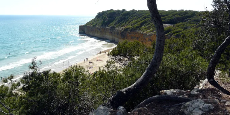 La Torre Camina programa sortides a la Nou i el Bosc de la Marquesa