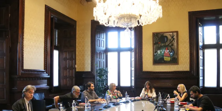 El Parlament manté la delegació de vot a Lluís Puig per a aquest ple a l'espera de la notificació del TC