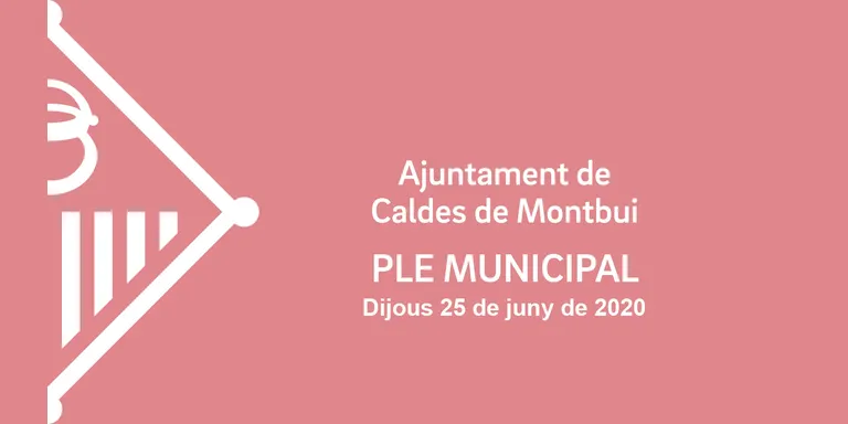 El Ple de juny encara telemàtic i amb participació ciutadana