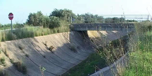 El sector de l’olivera reclama agilitzar el regadiu del Xerta-Sénia davant els períodes de sequera extrema