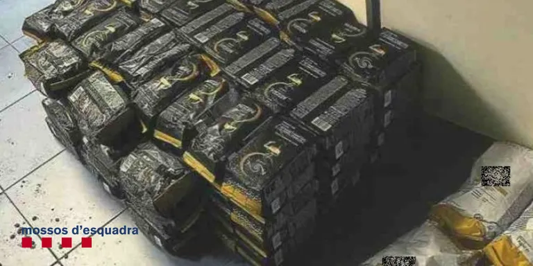 Atrapen a Maçanet un lladre que havia robat 3.000 euros en cafè de la càrrega d'un tràiler aparcat en una àrea de l'AP-7