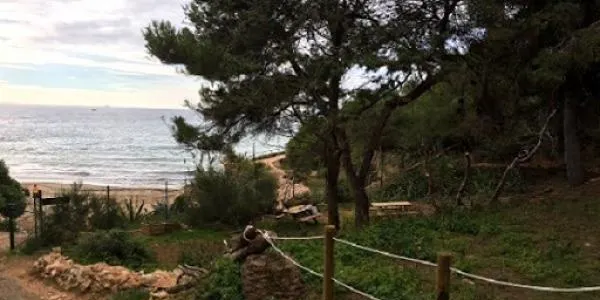 El Gepec i el grup GATA, de la mà en una jornada de voluntariat forestal a la Finca Canyadell d’Altafulla