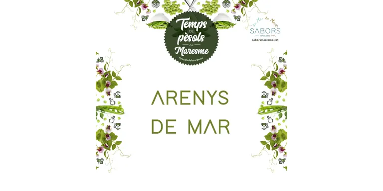 Arrenca la temporada de pèsols al Maresme
