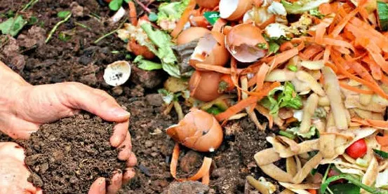 L’Ajuntament d’Arenys de Munt ha organitzat una campanya de compostatge casolà