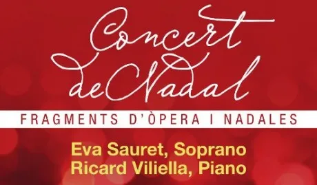 Concert de Nadal a la Seu
