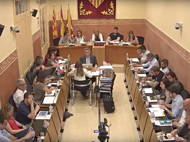 Ple ordinari maig 2017