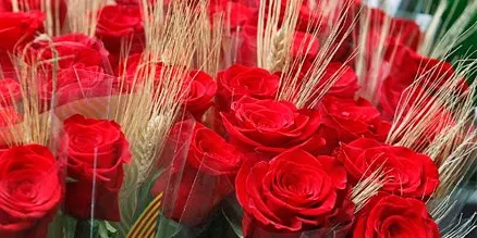 Les entitats sense ànim de lucre sí que podran vendre roses per Sant Jordi