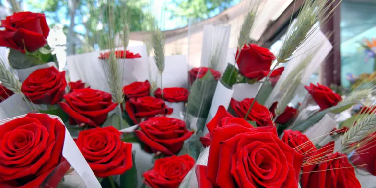 Aquest any hi haurà moltes roses per Sant Jordi, gairebé totes vingudes de fora, però no seran pas més cares que anys enrere