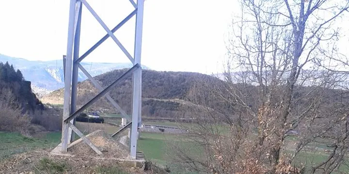 Troben cigonyes mortes per electrocució al municipi de la Seu