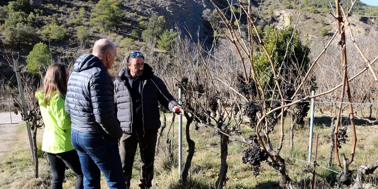 Els cellers del Pallars Jussà impulsen la presència dels seus vins en comerços i restaurants de la comarca