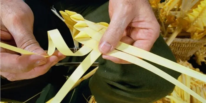 Les vendes de palmes i palmons, de moment, són fluixes