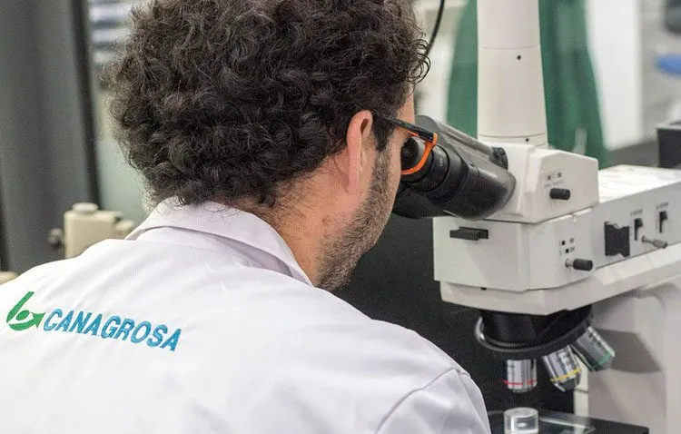 La tecnología punta desembarca en Utrera con la creación de medio centenar de puestos de trabajo