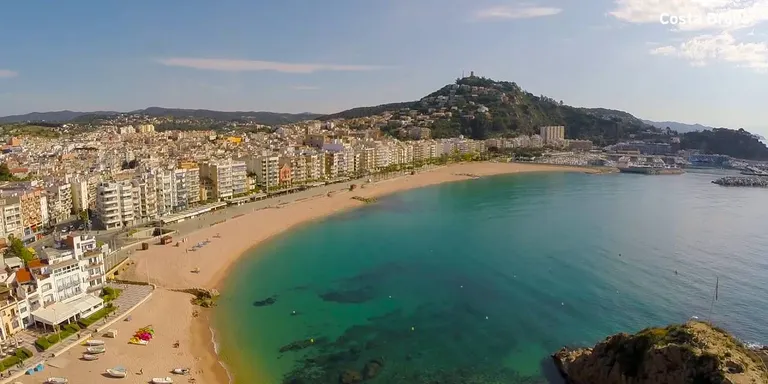 Blanes crearà una platja per a gossos