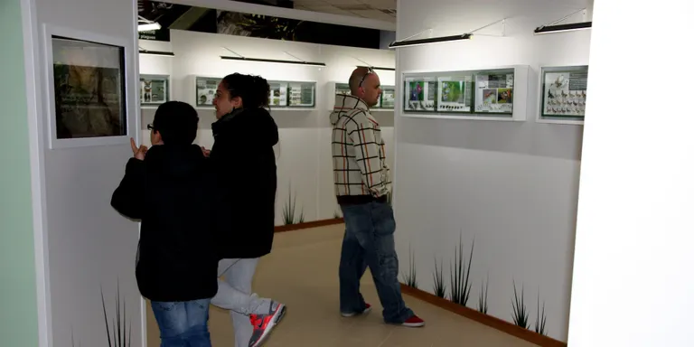 El Museu de les Papallones es trasllada a Ribera de Cardós