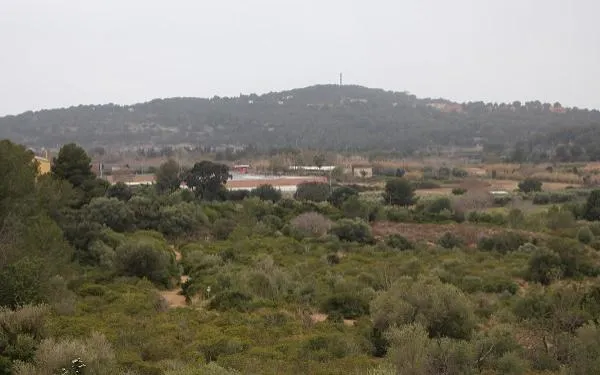 Foto: Altafulla Ràdio