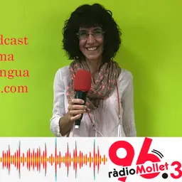 Tastets de llengua 654 –  Avui parlarem de l’expressió oli en un llum - episode art