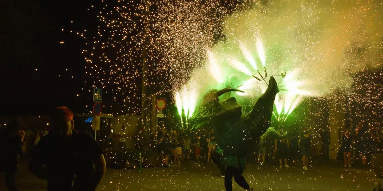 La primera Trobada de bèsties de Torredembarra se celebrarà el 16 d'agost