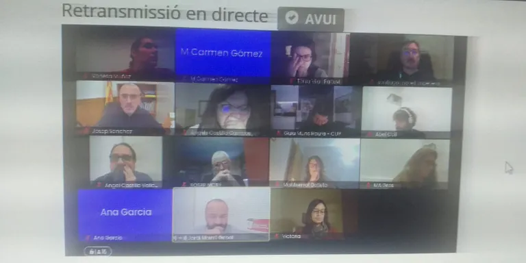 El Ple aprova la modificació del Pla Estratègic de subvencions i algunes d'específiques com la de comerç i restauració