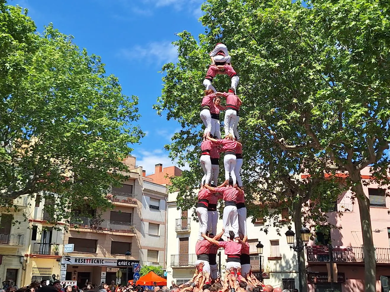 Clàssica rosada al Vendrell