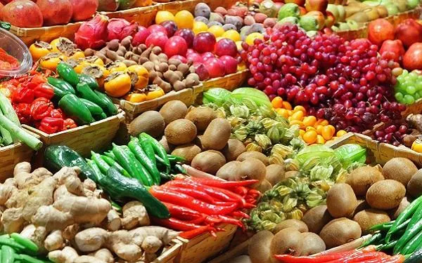 Joan Josep Sirvent: “Cal adoptar estils de vida i hàbits saludables i incidir en una dieta sana per prevenir el càncer”