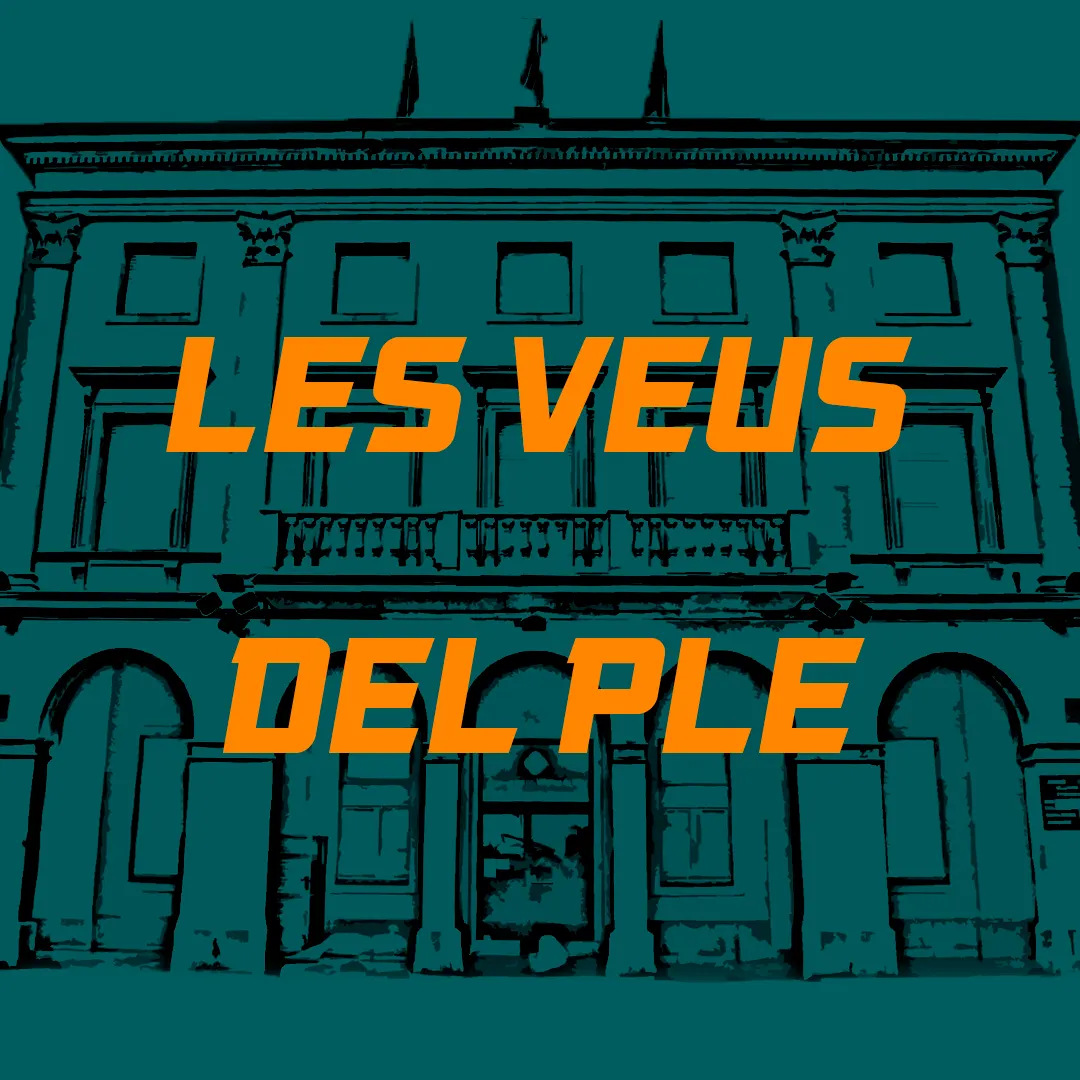 ‘Les veus del ple” del 23-12-2022
