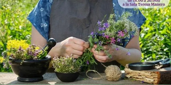 La regidoria de Salut impulsa un curs de plantes silvestres medicinals i comestibles de primavera i estiu
