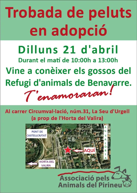 L'Associació pels Animals del Pirineu divulga els seus projectes a la Seu