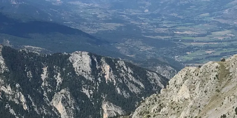Troben mort un boletaire a Riu de Cerdanya