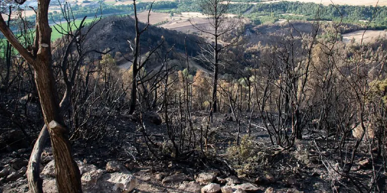 Compromís X Peramola demana actuacions urgents per a la recuperació de la zona afectada per l'incendi