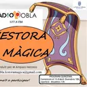 L'ESTORA MÀGICA