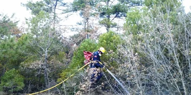 Incendi forestal a l'Oliva