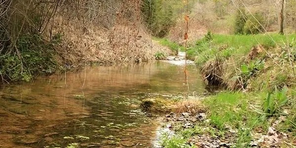 L’Associació Terres del Gaià vol treballar de la mà de la Diputació de Tarragona per posar en valor el riu i el seu entorn
