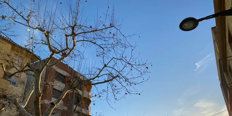 El temps d'aquest dimarts 13 de febrer