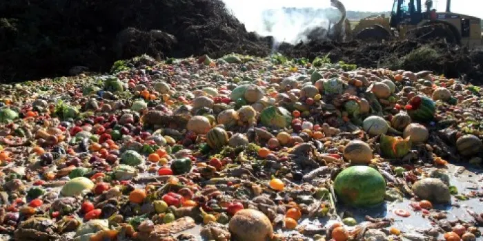 L’Hora del conte d’avui serà especial sobre el malbaratament alimentari