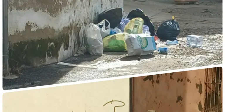 L'Ajuntament de Santa Bàrbara lamenta la falta de civisme malgrat el reforç continuat de la neteja viària
