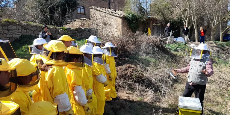 Riner rep el primer eixam d'abelles de Viladecans en el marc del projecte Redicat de recuperació i protecció de les abelles