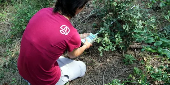 El CTFC investiga al Solsonès quina és la gestió forestal més resistent als incendis, plagues o sequeres