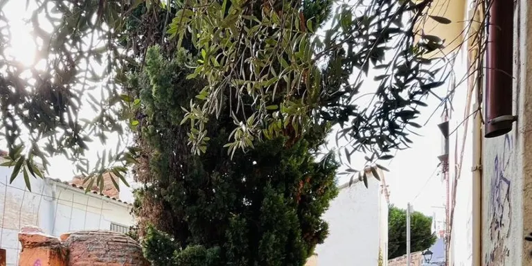 Conservació del pou urbà del segle XVIII