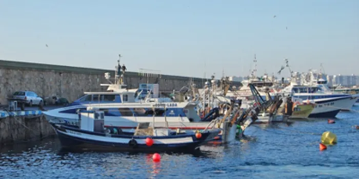 La flota d'arrossegament del port d'Arenys no fa veda