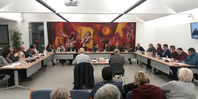 Acord unànime de tots els grups polítics de l'Ajuntament a personar-se a la causa judicial del cas del nadó maltractat