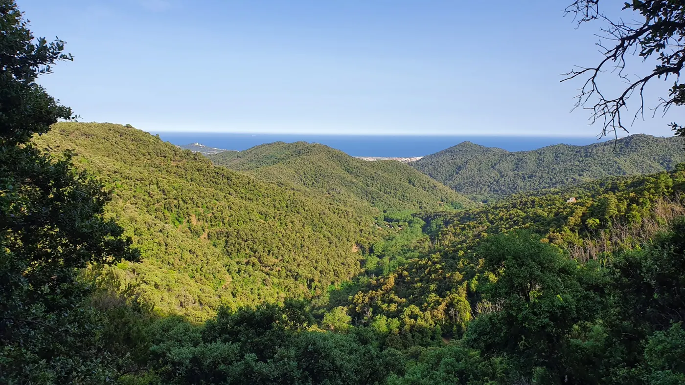 Conscienciar la ciutadania per evitar els focs forestals