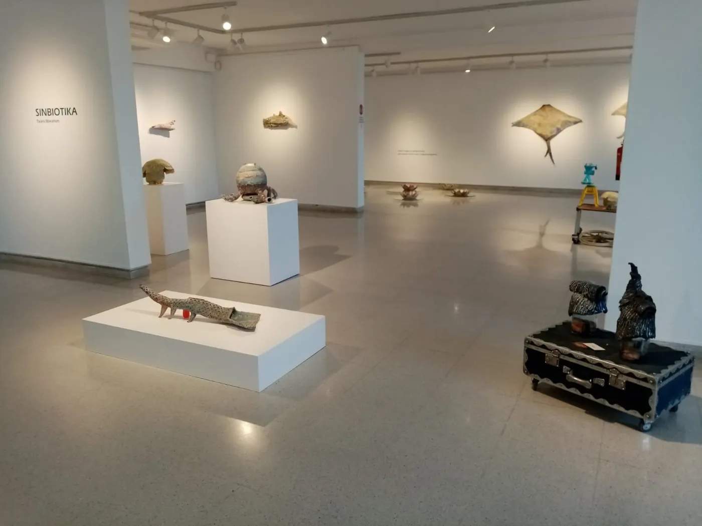 Sinbiòtika al Museu Monjo: un duel entre argila i plàstic