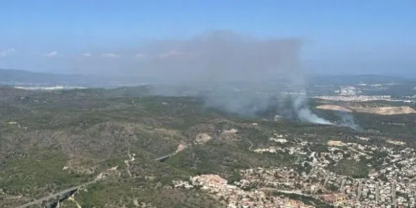 Un cotxe provoca un incendi de vegetació forestal a Roda de Berà