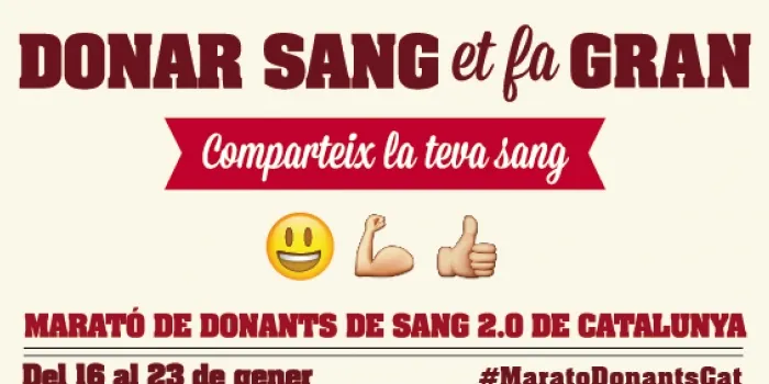 Torna la Marató de Sang 2.0