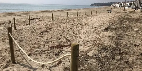El projecte del nou pla de gestió de la platja d’Altafulla ja es pot consultar de forma electrònica