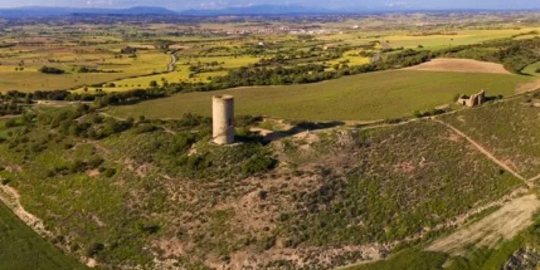 Anellament d'ocells a la Serra de Bellmunt-Almenara