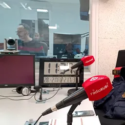 #1786 - Les raons de les dades de criminalitat de la Junta Local de Seguretat - episode art