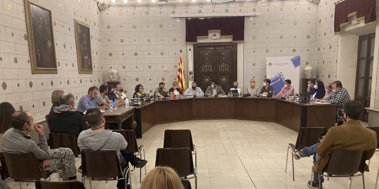 El ple de la Seu aprova reforçar la vigilància per evitar episodis d'incivisme les nits de cap de setmana